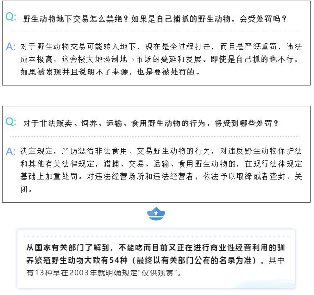 博彩平台
