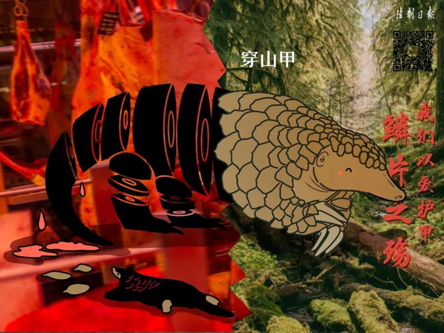博彩平台