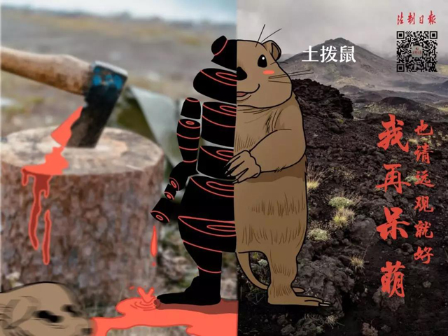博彩平台