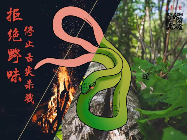博彩平台