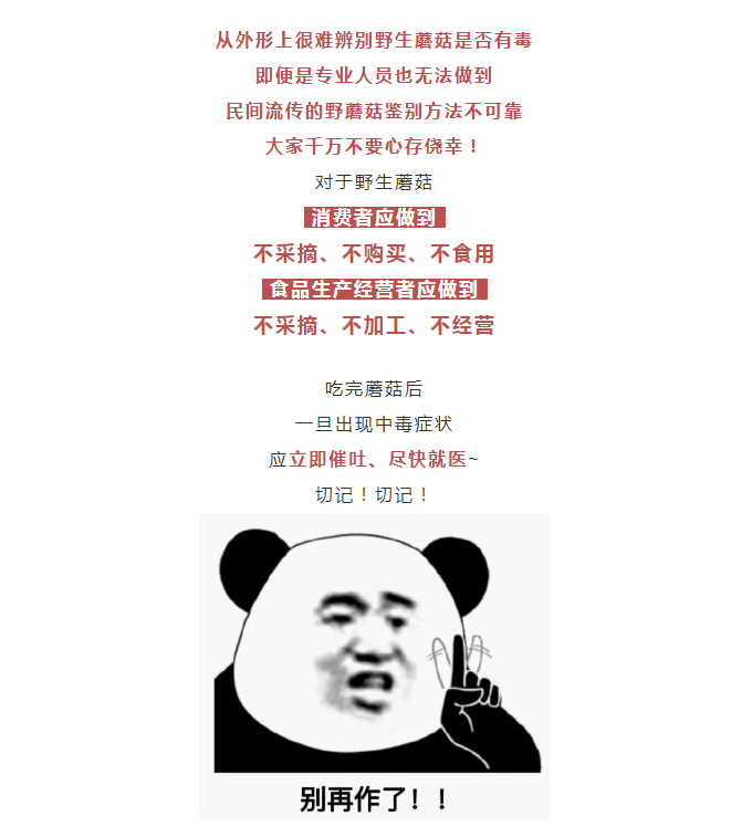 博彩平台