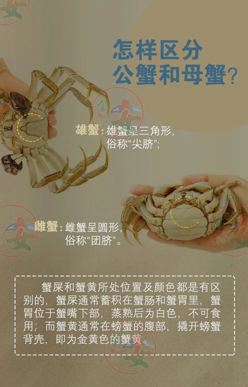 博彩平台