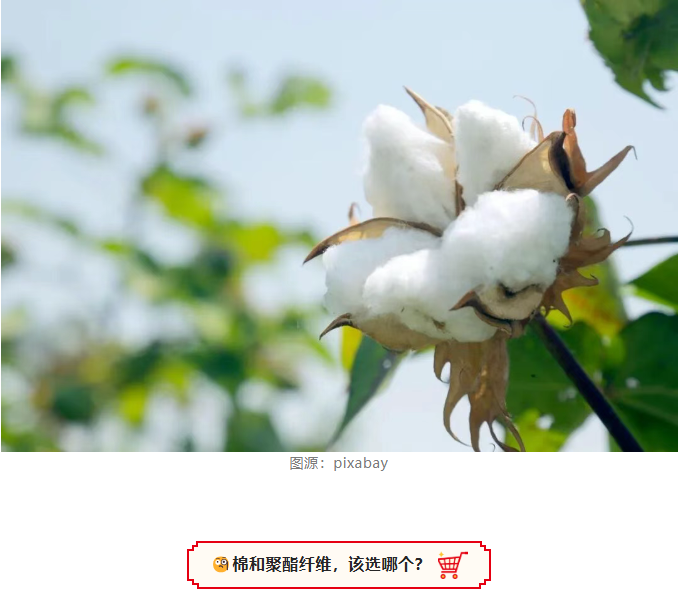 博彩平台